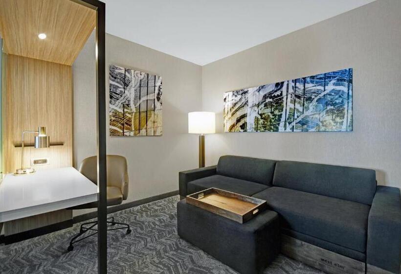 스위트, Springhill Suites By Marriott St. Paul Arden Hills