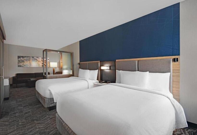 스위트, Springhill Suites By Marriott St. Paul Arden Hills