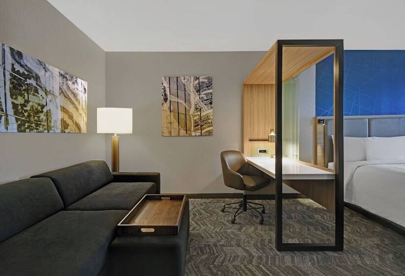 스위트, Springhill Suites By Marriott St. Paul Arden Hills