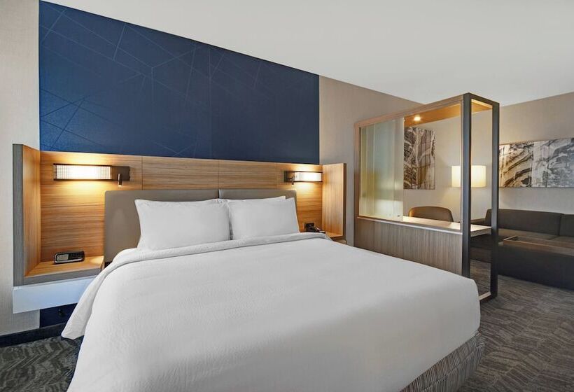 스위트, Springhill Suites By Marriott St. Paul Arden Hills