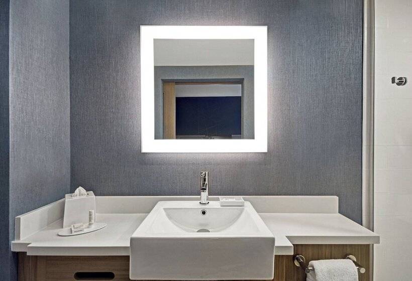 스위트, Springhill Suites By Marriott St. Paul Arden Hills