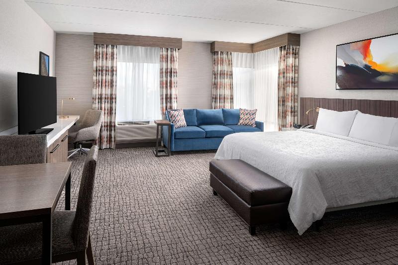 장애인을 위한 킹사이즈 침대 스탠다드 룸, Hilton Garden Inn Camden Waterfront Philadelphia