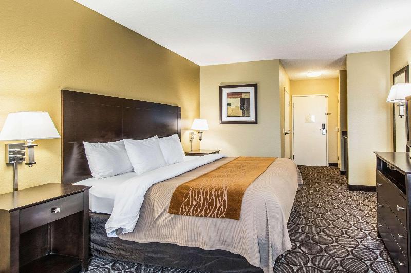 اتاق استاندارد با تخت بزرگ, Comfort Inn Airport Turfway Road