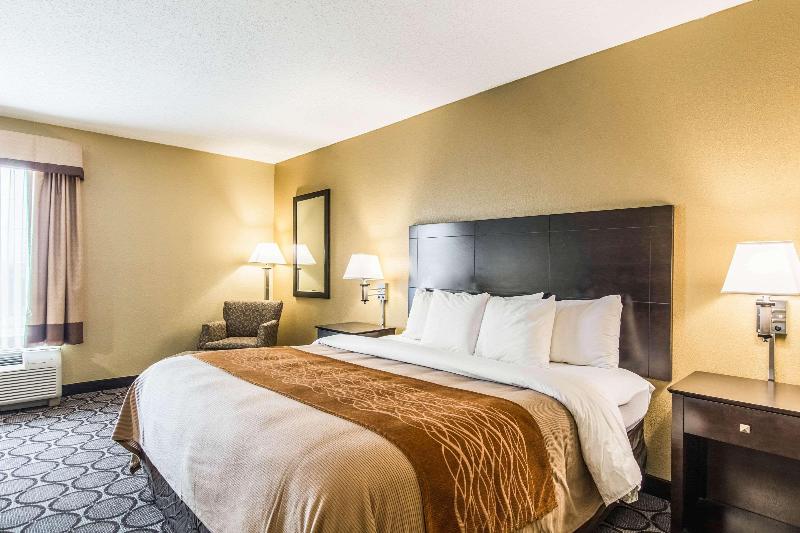 اتاق استاندارد با تخت بزرگ, Comfort Inn Airport Turfway Road