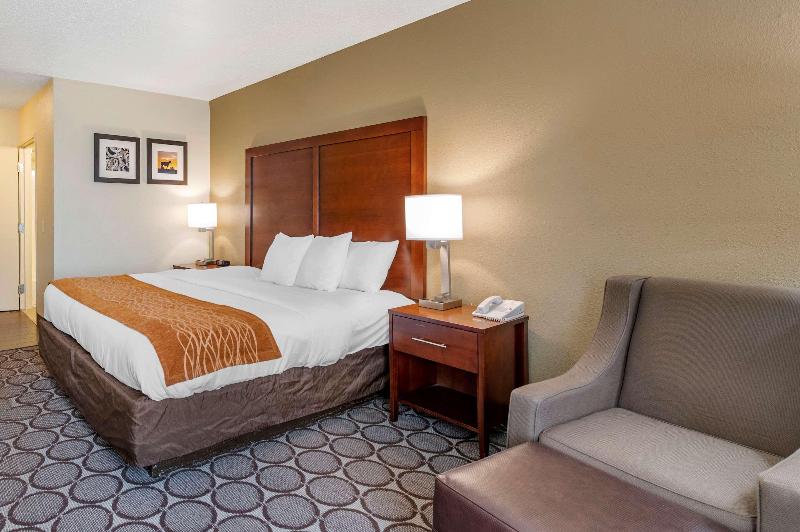 اتاق استاندارد با تخت بزرگ, Comfort Inn Airport Turfway Road