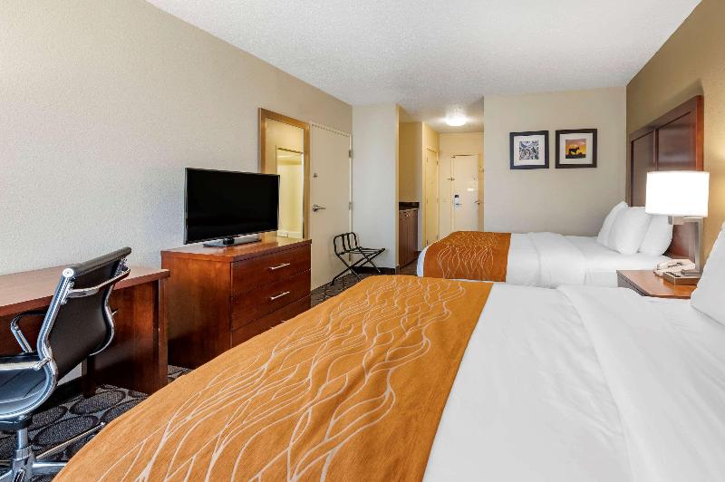 اتاق استاندارد, Comfort Inn Airport Turfway Road