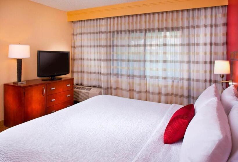 스탠다드 룸 킹사이즈 침대, Courtyard By Marriott Baton Rouge Acadian Centre/lsu Area