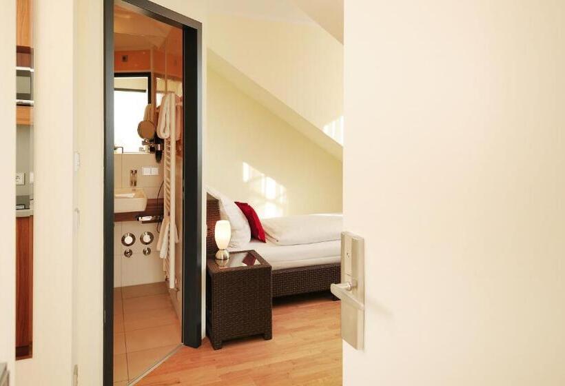 استودیوی استاندارد, Guesthouse Mainz