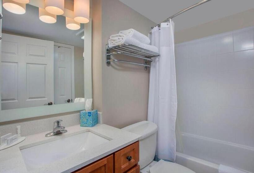 Standard Stúdió Szoba, Towneplace Suites Knoxville Cedar Bluff