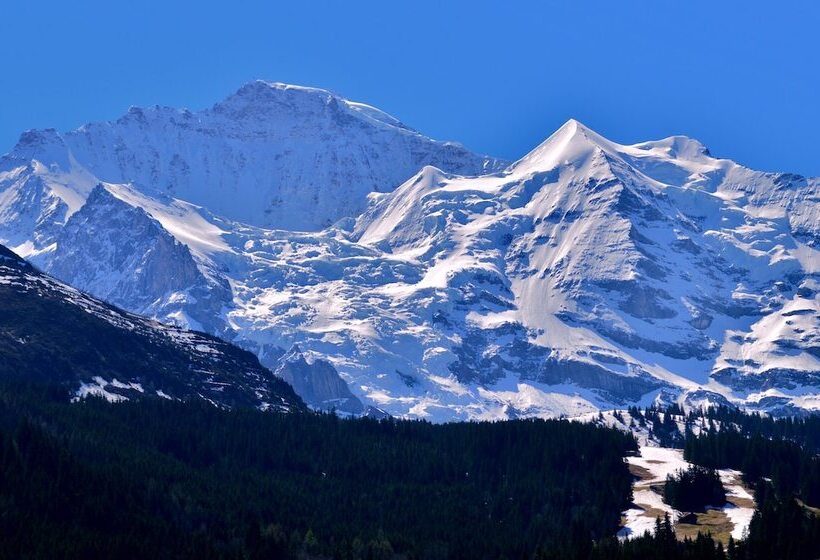 اتاق اکونومی, Edelweiss