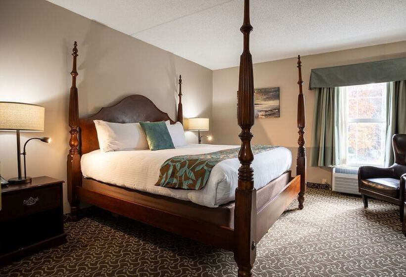 سوییت, D. Hotel Suites & Spa