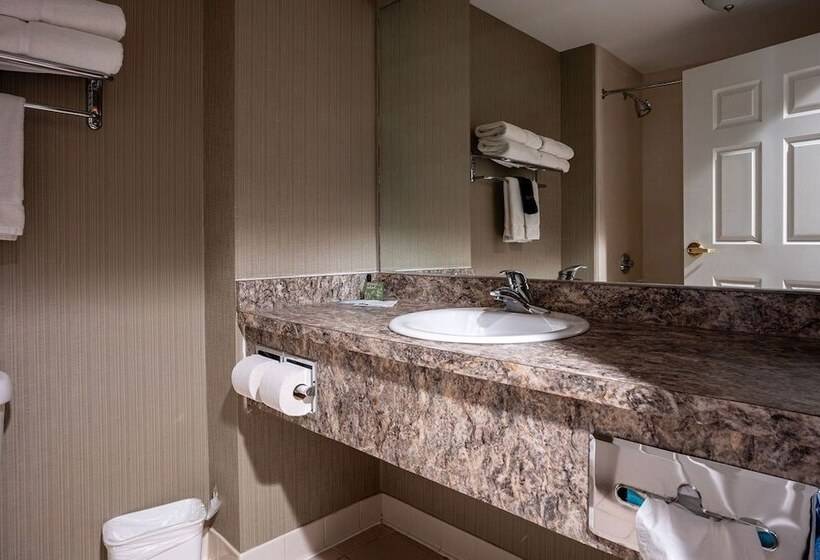سوییت, D. Hotel Suites & Spa