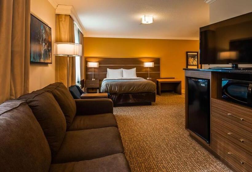 身障者適用キングサイズベッドルーム, Best Western Paradise