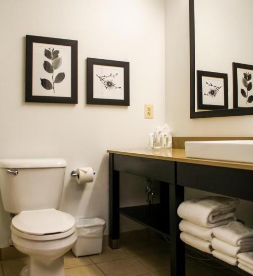 스탠다드 룸 킹사이즈 침대, Country Inn & Suites By Radisson, Washington Dulles International Airport, Va