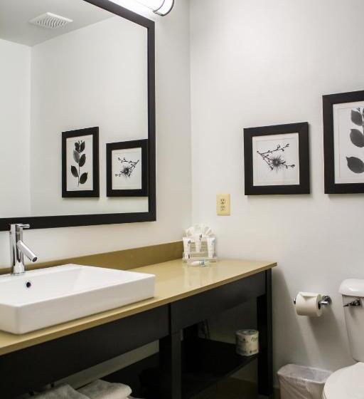 디럭스 스위트 킹 침대, Country Inn & Suites By Radisson, Washington Dulles International Airport, Va