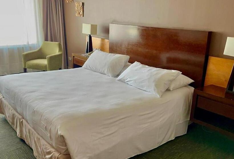 Стандартный Номер Кровать Кинг, Alto Del Sol Calama