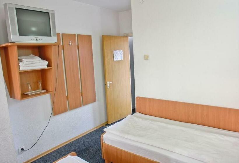 اتاق استاندارد یک نفره, Motel Dacia