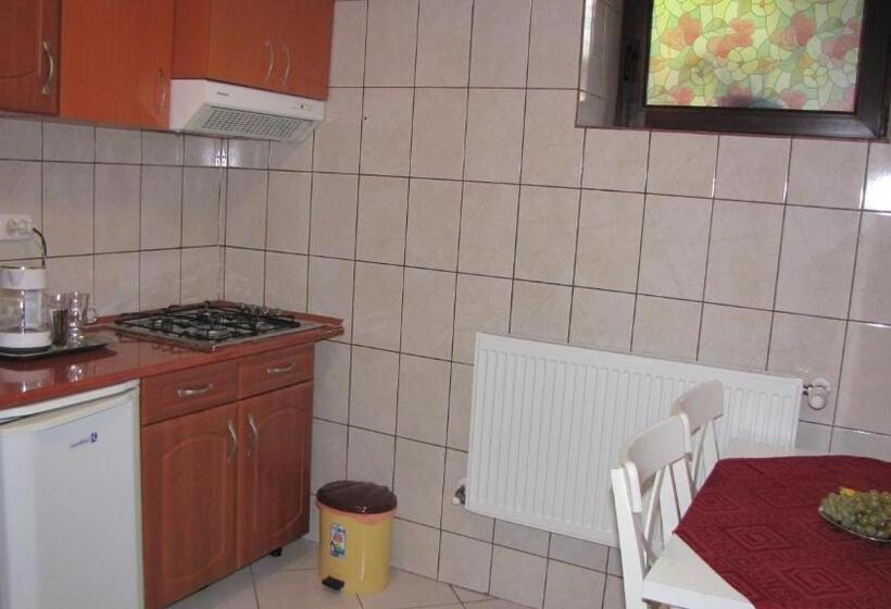 Номер Superior, Villa Elitte Predeal