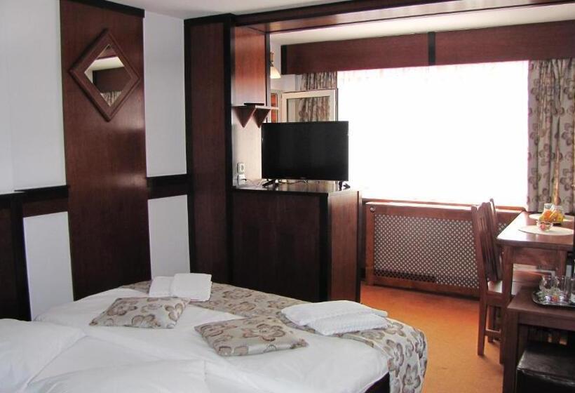 Номер Deluxe, Villa Elitte Predeal