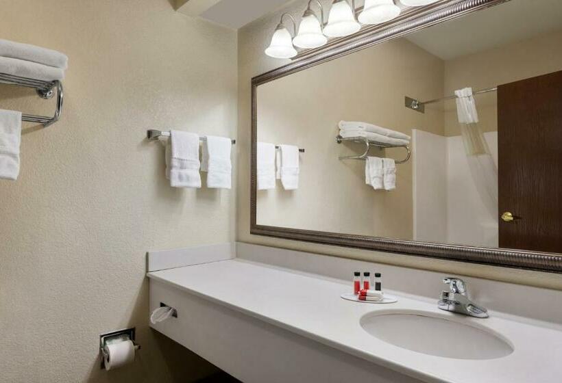 اتاق استاندارد با تخت بزرگ, Baymont By Wyndham Elizabethtown