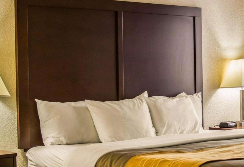 キングサイズベッドのスタンダードルーム, Comfort Inn
