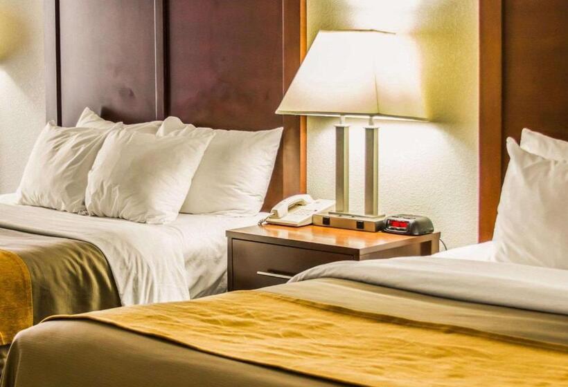 스탠다드 룸, Comfort Inn