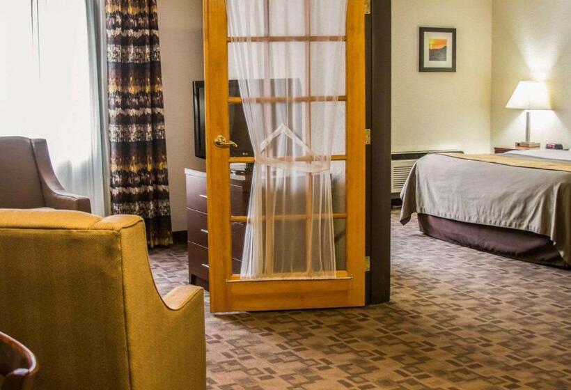 キングサイズベッドのスイートルーム, Comfort Inn