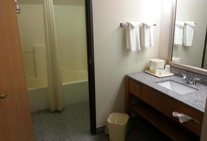 스탠다드 룸 킹사이즈 침대, Comfort Inn