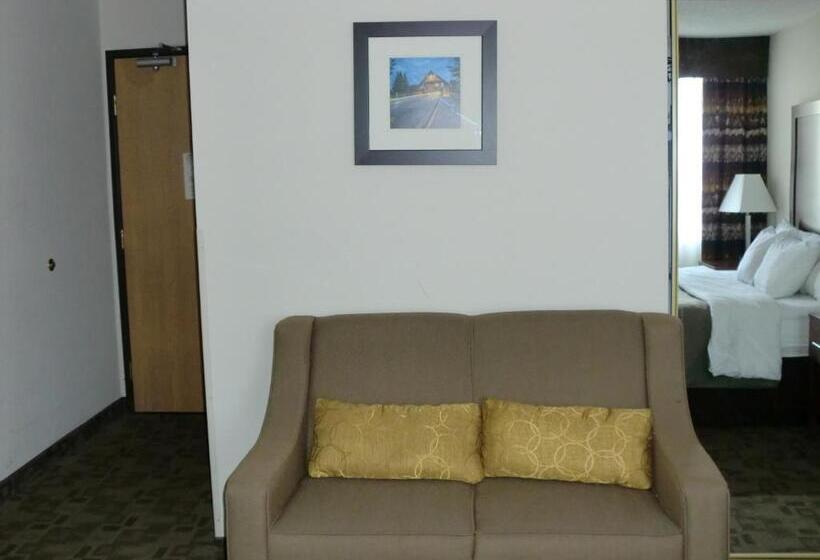 キングサイズベッドのスタンダードルーム, Comfort Inn