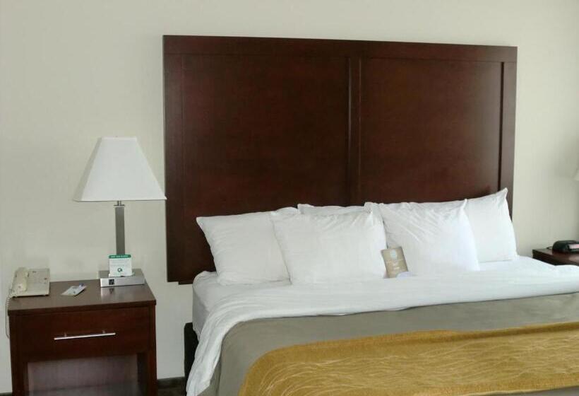 스탠다드 룸 킹사이즈 침대, Comfort Inn