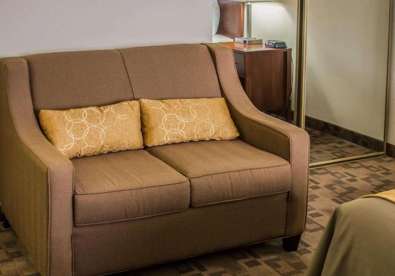 身障者適用キングサイズベッドルーム, Comfort Inn