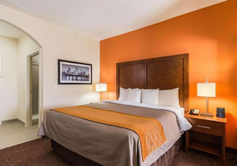 带大床的套房, Econo Lodge Inn & Suites East Houston I10