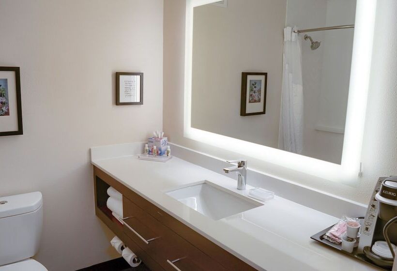 스탠다드 룸, Holiday Inn Mobile West I 10, An Ihg