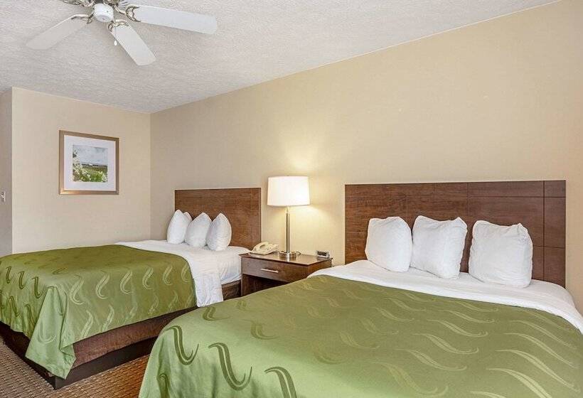 스탠다드 룸 더블 침대 2개, Quality Inn Burkeville Hwy 360 & 460