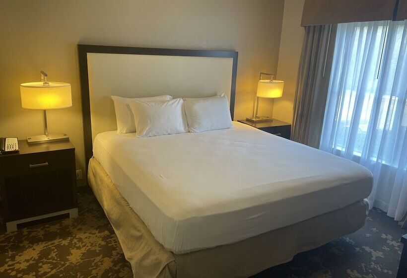 سوییت, Trellis West Charlotte