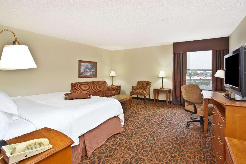带大床的豪华间, Hampton Inn Anderson