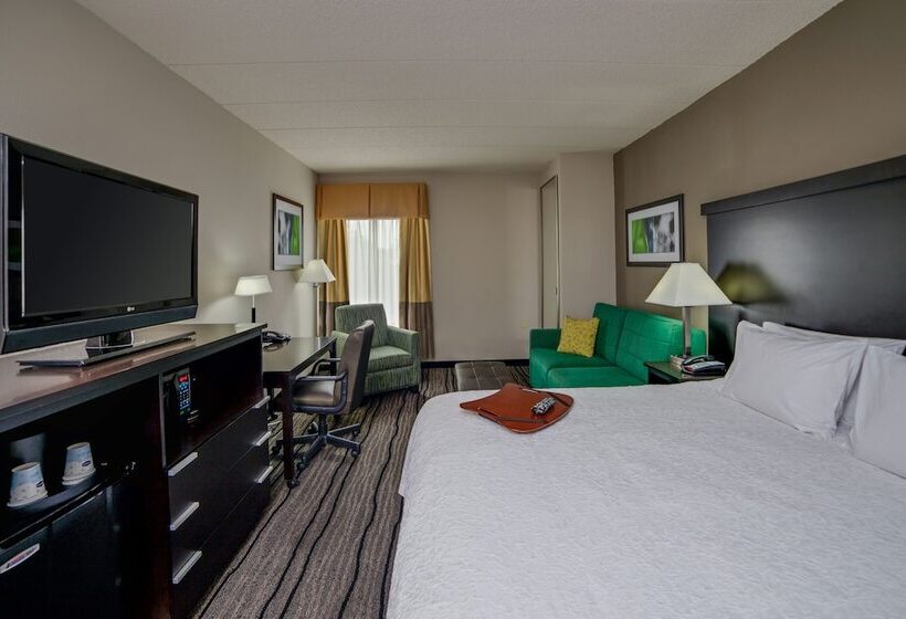 장애인을 위한 킹사이즈 침대 스탠다드 룸, Hampton Inn Bowie