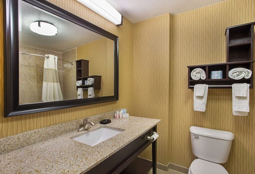 Стандартный Номер Кровать Кинг, Hampton Inn Dry Ridge