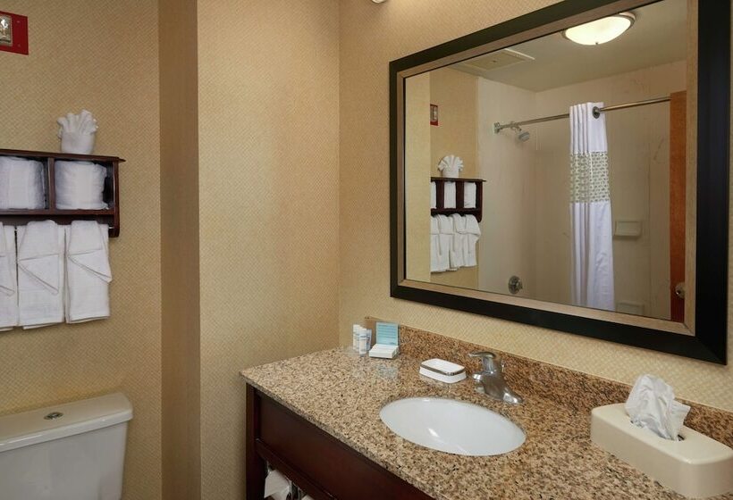 Номер Стандарт 2 Двуспальные Кровати, Hampton Inn Newport Newsyorktown