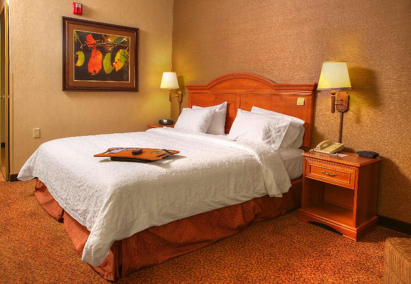 Стандартный Номер Кровать Кинг, Comfort Inn & Suites Rapid City Near Mt Rushmore