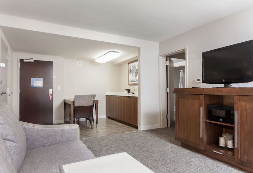 Suite Lit King, Hampton Inn & Suites Dallasdfw Airport Northgrapevine