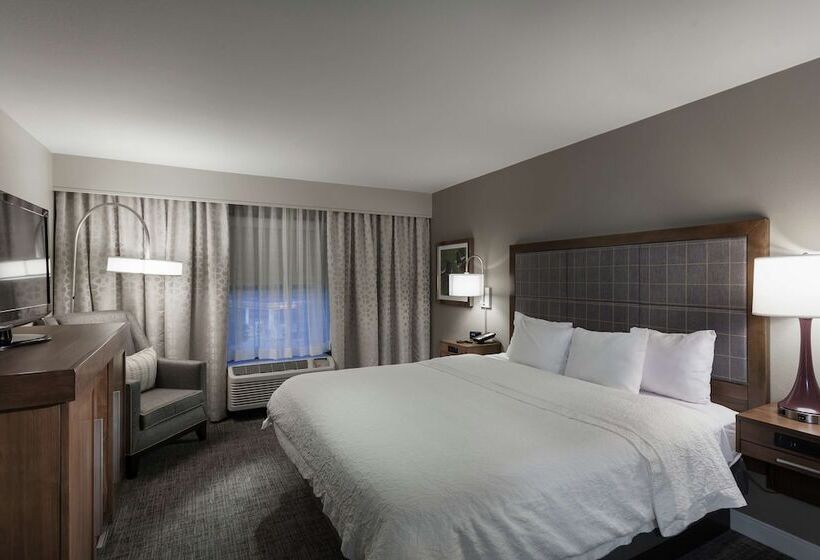Suite Lit King, Hampton Inn & Suites Dallasdfw Airport Northgrapevine