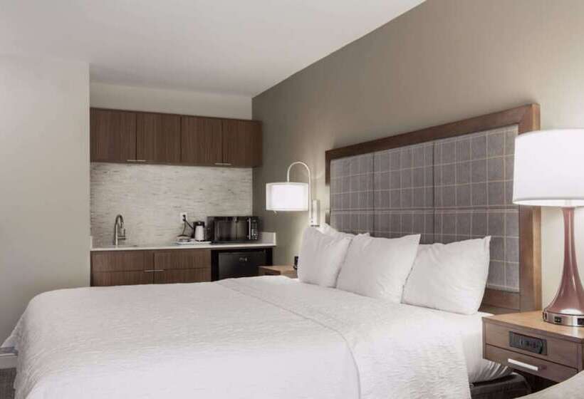 Studio Standard Lit King Size, Hampton Inn & Suites Dallasdfw Airport Northgrapevine