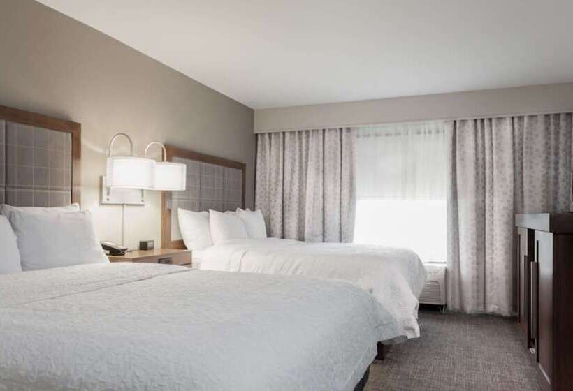 Suite, Hampton Inn & Suites Dallasdfw Airport Northgrapevine