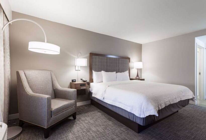 Suite, Hampton Inn & Suites Dallasdfw Airport Northgrapevine