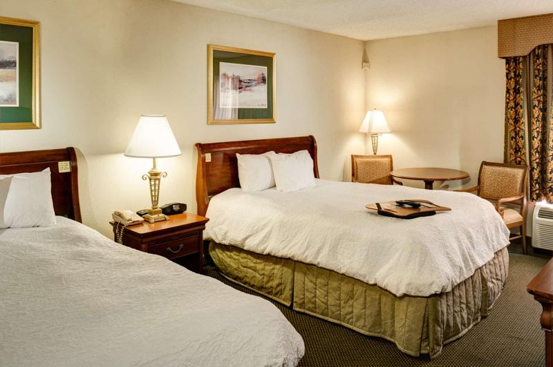 اتاق استاندارد با تخت بزرگ, Hampton Inn Tulsasand Springs