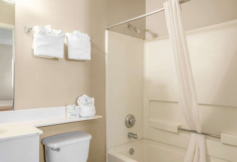 スタンダードルーム, Tampa Bay Extended Stay   Airport