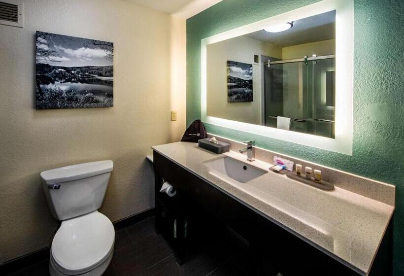스탠다드 룸, Sugarloaf Hotel & Suites Duluth