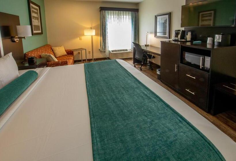 스탠다드 룸 킹사이즈 침대, Sugarloaf Hotel & Suites Duluth