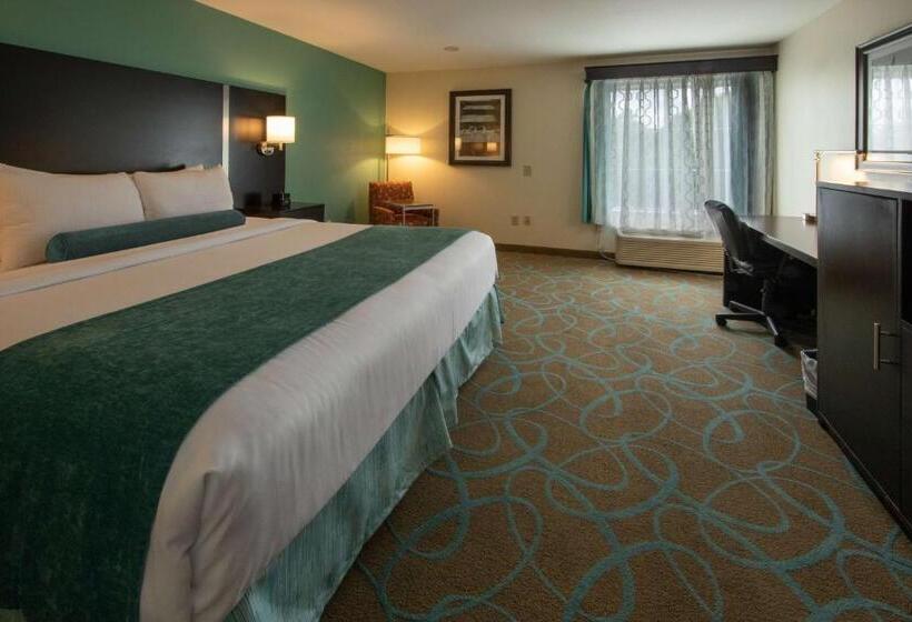 Quarto Estandar Cama King para Deficientes Físicos, City Express by Marriott Duluth